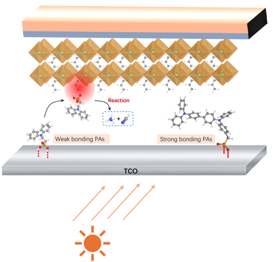 Scalable Photovoltaics & Advanced Interface Engineering