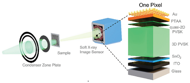Optoelectronic Sensors & Detection Devices