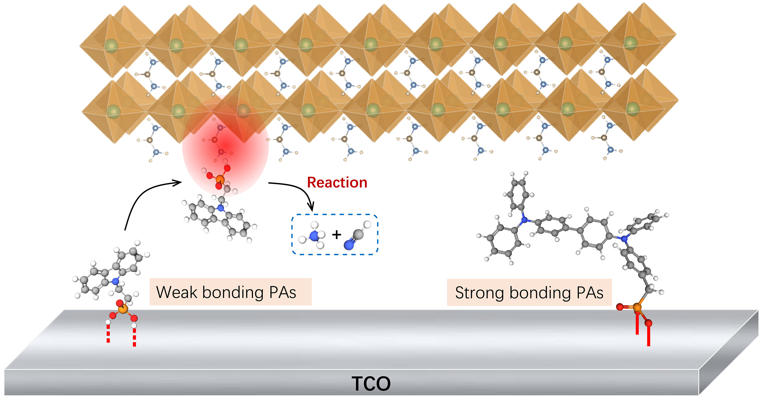 Science Publication Highlight